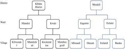 Knowledge of non-communicable diseases and access to healthcare services among adults before and during COVID-19 pandemic in rural Tanzania